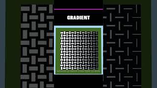Minecraft Optical Illusion #shorts | 108