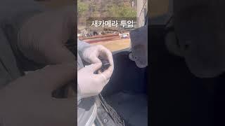 후방카메라 교체하세요~ #후방카메라 #자가수리