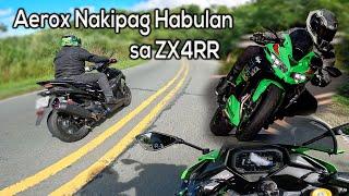 The Best All Around Sportbike for Beginners | Kawasaki ZX4RR