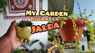 My Garden || Jalda Vlog || Rourkela #gardening #jalda #rourkela