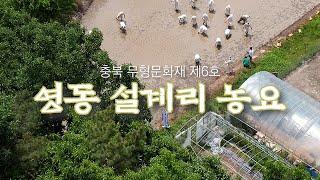 [충북 문화유산 사람들] 무형문화유산을 전승하는 사람들(feat. 풍년을 기원하는 흥겨운 노랫소리)