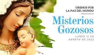 Rosario de Hoy Lunes 15 de Agosto | Misterios Gozosos | Wilson Tamayo