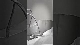 19 Maret 2022