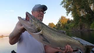 Rustic Rob; Plug Fishing Salmon on The Sacramento river With Glenn & Steve