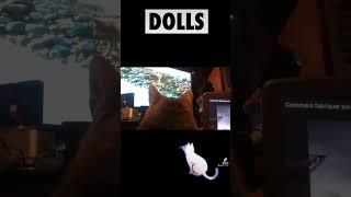 #chat #cat #pussycat # #miaou #fun #watching #movie #2017 #foryou #video #viral #music