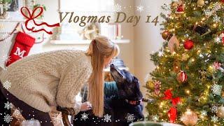 Cozy reading and Landon's Christmas gift to me: trying a pottery class! VLOGMAS DAY 14