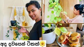 අද දවසෙන් ටිකක්New Zealandබිත්තර bacon muffin හැදුවානිවාඩු දවසේ ගෙදර වැඩ