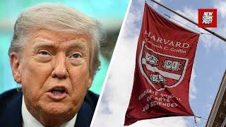 Trump rips Harvard international program: ‘Students can’t add two and two’