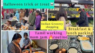 Tamil mom in USA early morning routine vlog//Randam day vlog//Tamil family in USA life style