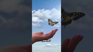 У вас бывали кризисы? #психология #кризисы #рекомендации #притча