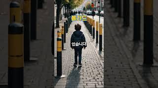 도로와 인도 사이 말뚝의 이름은 볼라드 #볼라드 #말뚝 #도로말뚝 #도로경계