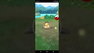 Shiny Fisk 🪤 #pokemongo #shinypokemon #pokemonchannel #galar