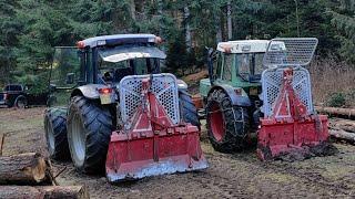 Käferjagd hat begonnen|Forstarbeit Extrem  | Lamborghini & Tajfun |