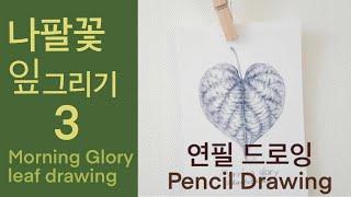 Botanical Art Basics_ Morning Glory Leaf Drawing (3)_Online Course