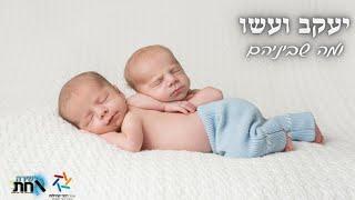 יעקב ועשו ומה שביניהם️וְהִנֵּה תוֹמִם בְּבִטְנָהּ️מי היה צדיק ומי היה רשע️ע"פ התורה שבכתב ושבע"פ