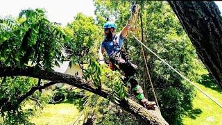 "season2022" sneak peak @BartlettArboristSupply @TreeStuffdotcom