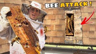 I WAS ATTACKED By 50,000 LIVE BEES ! (we got stung)