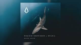 Dominik Gehringer, Ovadia - Digital Age