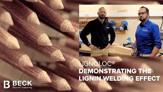 LIGNOLOC® - Demonstrating the Lignin Welding Effect