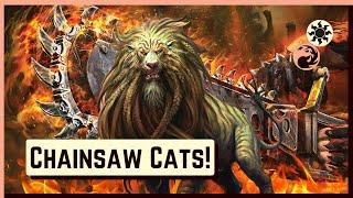 Boros Equipment Cats! | Foundations Standard! | MTG Arena