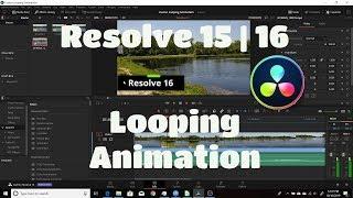 Resolve 15 | 16 Fusion Looping Animation