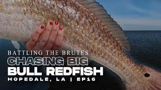 Louisiana Big Bull Redfish Fishing Gulf Coast, Hopedale Louisiana  (Red Drum) | Landed Fishing