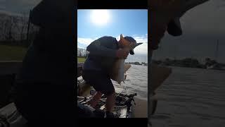 Landed a giant fish from a kayak!