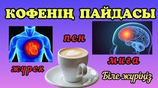 Кофенің сіз біле бермейтін пайдасы.Кофенің пайдасын біле жүріңіз.