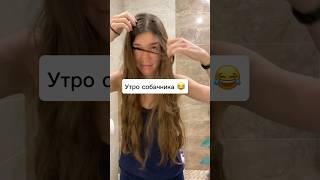 Утро с собакой  ️