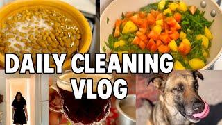  Vlog 04 🫶 | Sparkling Spaces & Fresh Vibes!  #CleanWithMe #shortsviral