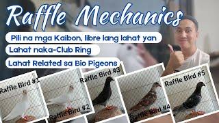 1st Raffle Mechanics | Nov. 20 - Dec. 10, 2022 accepting entries | 5 birds related to Bio Pigeons