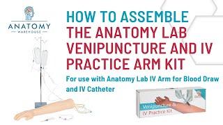 How to assemble the Anatomy Lab Venipuncture and IV Practice Arm Kit and Simulation Arm