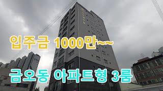 의정부시 금오동 신축빌라! 실입주금 1000만원~문의/아파트형 구조