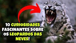 10 CURIOSIDADES FASCINANTES SOBRE OS LEOPARDOS DAS NEVES