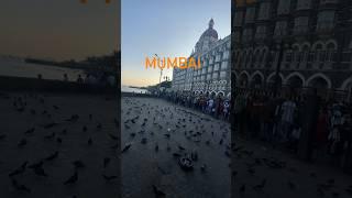 Mumbai me kaha kaha ghume top 5 places #travel #blogger #mumbaidiaries