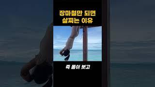 장마철만 되면 살찌는 이유 | 오늘의 건강 꿀팁! #건강정보