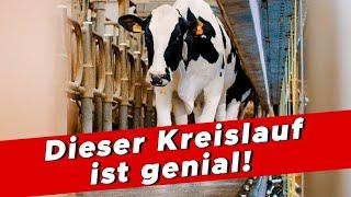 Tierisch effizient: Wie aus Milch Strom, Wärme & Lebensmittel werden - My KuhTube Film 893