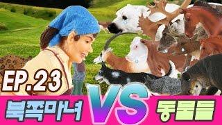 [시즌5] 북쪽마녀 VS 마법에 걸려 동물로 변한 인간들, 식사시간에 울음을 터트리는데 (소, 말, 개, 표범, 사슴) (EP.23 컬렉타 피규어)