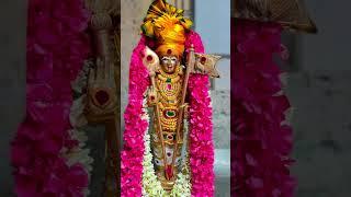Thiruchendur muruga |vel maaral | murugan thunai | Om muruga| muruga status #shorts #panguniuthiram