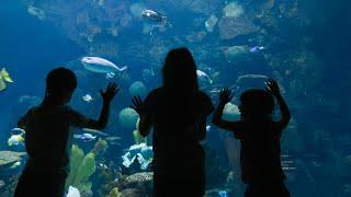 Columbus Zoo and Aquarium