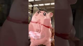This pig’s the ultimate rage therapy 