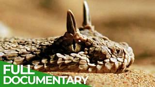 Wildest Middle East | Episode 5: Arabia - Land of Illusions | Free Documentary Nature