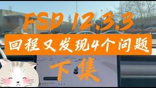 特斯拉 FSD 12.3.3 全视觉自动驾驶亲身体验之回程，又让我发现四个新错误