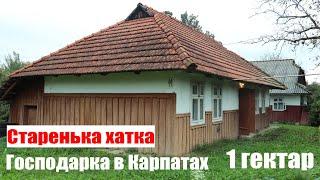 Господарка на продаж, недорога хата в Карпатах