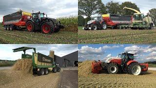 Mais hakselen door loonbedrijf Zandman met Krone BigX 770 en Deutz, Fendt en Steyr trekkers (2024)