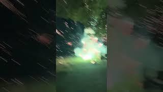 Dog grabs firework #fireworks #dog #viral #shorts #youtubeshorts #explore  #goneviral #gonewrong