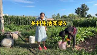 乡村生活实录