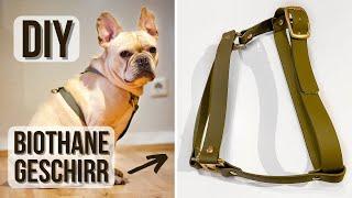 DIY HUNDE BIOTHANEGESCHIRR  | Frauchens.Liebling