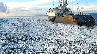 Life On Largest Midwater Trawl Vessel - Fishing trip on trawler the High Sea #04