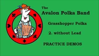 Grasshopper Polka 2 NO LEAD